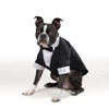 East Side Collection "Yappily Ever After" Groom's Tuxedo for Dogs,