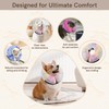 Sychien Inflatable Dog Collar, Potective Recovery E Collar for Dogs