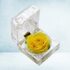 Rosa Eterna De Flores Conservadas Con Caja De Regalo Para