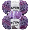 Bernat Blanket Yarn - Big Ball (10.5 oz) - 2