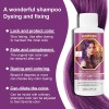M Shampoo Tinte Sumifang Triple Cuidado 120 Ml Purple D