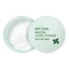 2 Polvo Mineral Cuidado Facial Translúcido Maquillaje Fijado