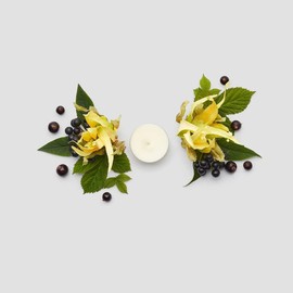 PartyLite Brighter World™ Ylang Ylang Black Currant Soy Tealight Candles – 100% Natural Wax, 4-6 Hr Burn, Eco-Friendly, Aromatic Floral Scent