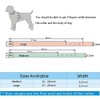 haoyueer Leather Dog Collar 2 Rows Round Rivets Studded PU