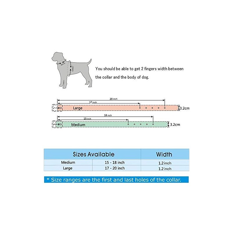 haoyueer Leather Dog Collar 2 Rows Round Rivets Studded PU