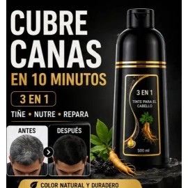 Shampoo Tinte Negro Instantáneo Cubre Canas Jengibre 500ml