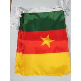CAMEROON 12 meters BUNTING FLAG 20 flags 18'' x 12'' - CAMEROONIAN STRING flags 30 x 45 cm - AZ FLAG