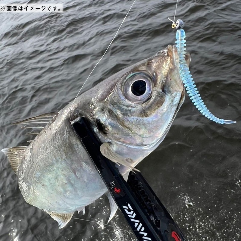Daiwa Worm Tsukishita Bijin Ajing Beam Vaticon Custom Mid 2.5