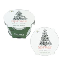 BUZZY Spruce Christmas Tree to Be Mini Basin Grow Planter Kit, Grow Your Own Christmas Tree, Best Holiday Gardening Gifts, Favors, Parties, Events, Unique, & Fun, Growth Guaranteed