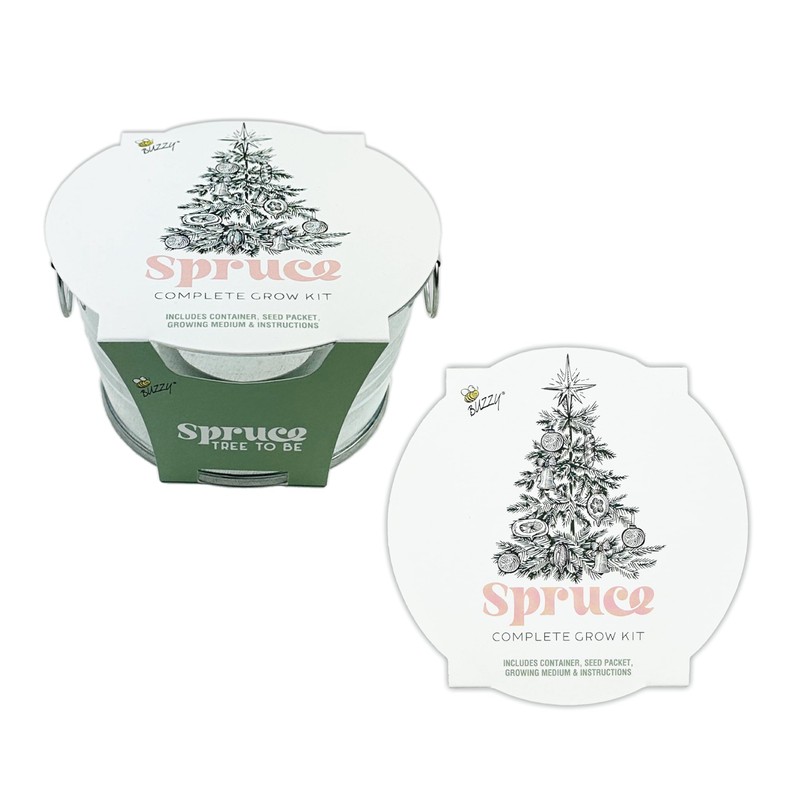 BUZZY Spruce Christmas Tree to Be Mini Basin Grow Planter