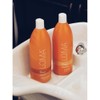 Loma Hair Care Daily Conditioner, TangerineOrangeGrapefruit, 33.8 Fl Fl Oz