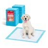 IRIS USA Dog Pee Pads – Puppy Essentials, Dog Pads,