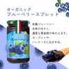 Frutina Organic Blueberry Spread, 7.8 oz (220 g) (Organic) (Sugar