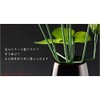 Buddhen Endo Brand: Buddha Equipment, Buddha Flowers, Silk Flower (Real