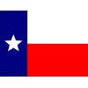Dynamic LED Texas State Flag (for whip lights)