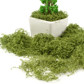 VYNYJOAN Fake Moss Green Artificial Moss for Potted Plant, 5.3OZ Decorative for Garden Home