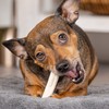 Pet Factory American Beefhide 3-3.5" Mini Rolls Dog Chew Treats