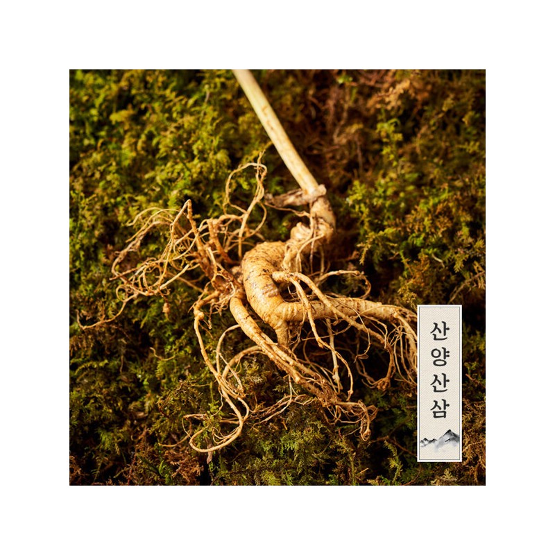 (Hyundai Hmall) Myunggailpum Gangwon-do Native Mountain Ginseng Gift Set 5-6