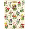 Cavallini & Co. Language of Flowers Wrap 20" X 28" Decorative Paper /Poster/Wrap