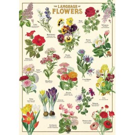 Cavallini & Co. Language of Flowers Wrap 20" X 28" Decorative Paper /Poster/Wrap