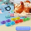 200 pcs Pigeon Foot Rings，Colorful Readable Numbered Bird Identification Leg
