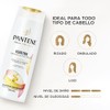 Pantene Kit Keratina Shampoo + Crema para Peinar Termoprotectora 300