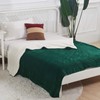 SOCHOW Sherpa Fleece Throw Blanket, Double-Sided Super Soft Luxurious Plush