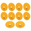 10Pcs 3in Sanding Discs Pads Buffing Polishing Diamond Marble Concrete