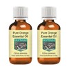 DEVPRAYAG Devprayag Pure Orange Essential Oil (Citrus sinensis) Steam Distilled