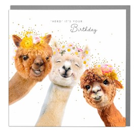 Lola Design - Birthday Cards for Women - Alpacas, 'Herd' it's Your Birthday - Blank Happy Birthday Card with Grey Envelope - Designed and Printed in the UK - 150mm x 150mm