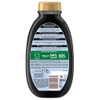 Garnier Botanic Therapy Activated Carbon and Black Cumin Oil Hair