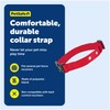 PetSafe Replacement Collar Strap with 2 Holes - Adjustable Design