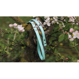 BURA 2.2 m Dog Lead for Large Dogs, Lightweight and Handy, Does Not Deform, Durable, Waterproof, Non-Allergen (Mint, S)