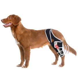 Dog Knee Brace for ACL Support, Adjustable Leg Brace for All Four Legs, S