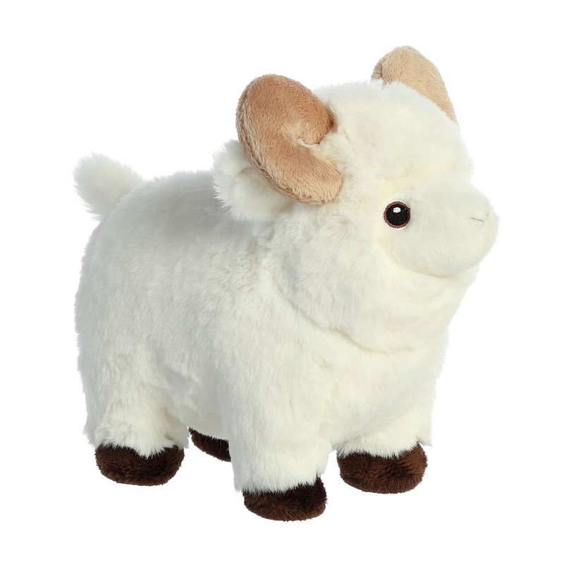 Aurora - Eco Nation - Ram - 20.32cm.