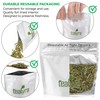 Tealyra - Premium Dragon Well - Long Jing - Green