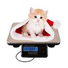 660lbs Digital Livestock Scale Pet Vet Scale Stainless Steel Platform