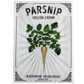 Parsnip Seeds for Planting | Hollow Crown Variety (3g Packet - Approx 530 Seeds) | Non-GMO & Heirloom Seeds | Illustrated Seed Packet with Growing Instructions by Rainbow Heirloom Seed Co.