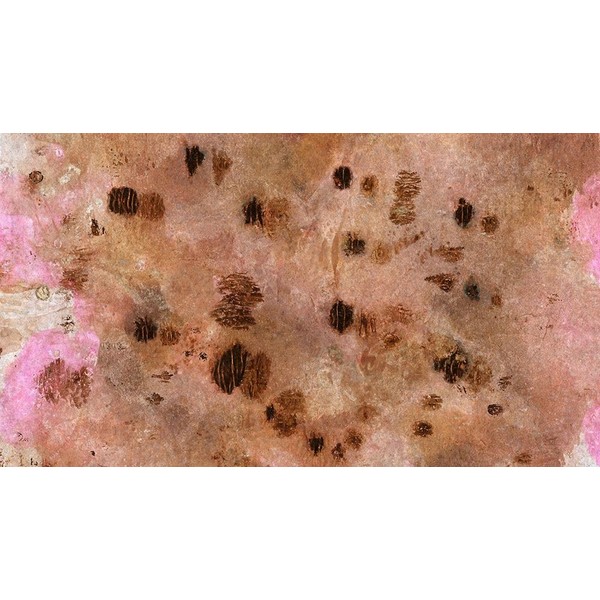 Sugared and Bronzed-4L Poster Print - Melissa Renee (36 x