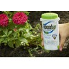 RoundUp Precision Gel Weed & Grass Killer 5 OZ (2)