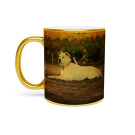 Fabulous Gold Tasse aus verchromter Keramik, Labrador Retriever, Sandfarben, mit Halsband für Hunde, 325 ml