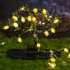 Haosonw Lemon Decor String Lights, 10FT 40 LED Lemon Decorative