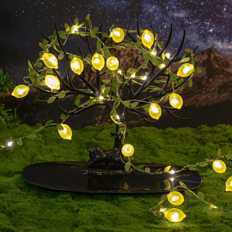 Haosonw Lemon Decor String Lights, 10FT 40 LED Lemon Decorative