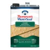 Thompson's WaterSeal Clear Wood Sealer, Clear, 1 Gallon