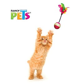 Fancy Pets Juguetes para Gato con Sonido y Plumas, Set de 48 Piezas con Diferentes Diseños, Texturas y Materiales, Estimulan Instinto de Caza