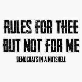 Rules for Thee But Not for Me - Anti Democrat Funny Quote Sticker Vinyl Decal Bumper Sticker 5"