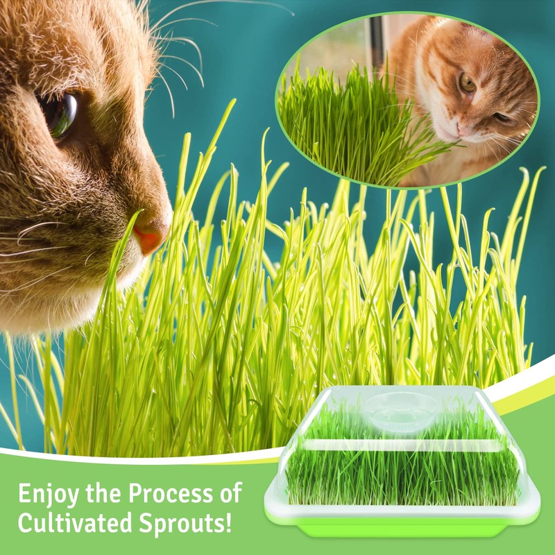 Legigo 2 Pack Seed Sprouter Trays with Lids- Soil-Free Cultivation