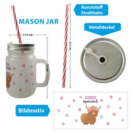 Scottish Highland Cow Mason Jar with Handle Drinking Glass with Lid with Saying You are Special A Cute Glass for Your Favourite Drink Motif Cute Teenager Cow Galloway Highland