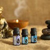 Set of 3 Relax Organic Essential Oils Lavender (10 ml)