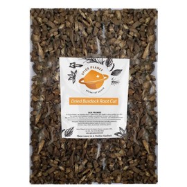 Burdock Root Cut Herbs Dried | Arctium lappa Premium Quality by Spice Planet® Free UK P&P (25 Grams)